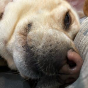 Meet your Posher, Bryce